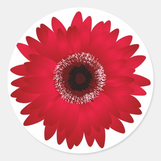 Pegatina Redonda Red Gerbera Daisy (Anverso)