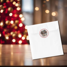 Red Vintage Gingham Holiday Photo Round