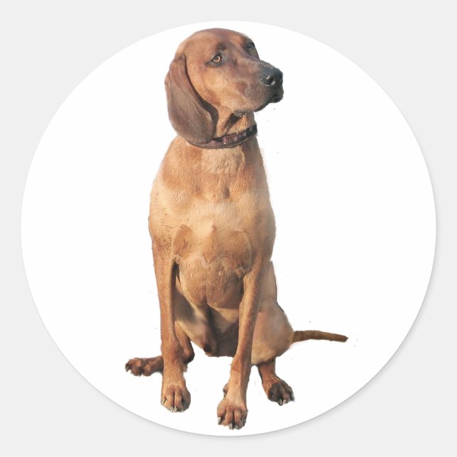 Pegatina Redonda Redbone Coon Hound (A) (Anverso)
