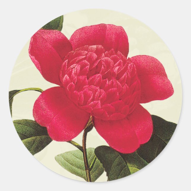 Pegatina Redonda Redoute Red Camellia Botanic Print Pegatinas (Anverso)
