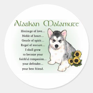 Pegatina Redonda Regalos de Alaskan Malamute