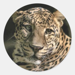Pegatina Redonda Regalos de arte de leopardo juvenil