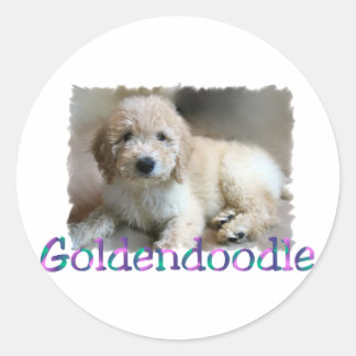 Pegatina Redonda Regalos de Goldendoodle Lovers