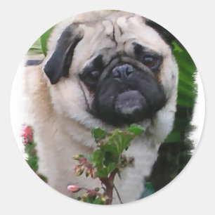Pegatina Redonda Regalos de Pug Lovers