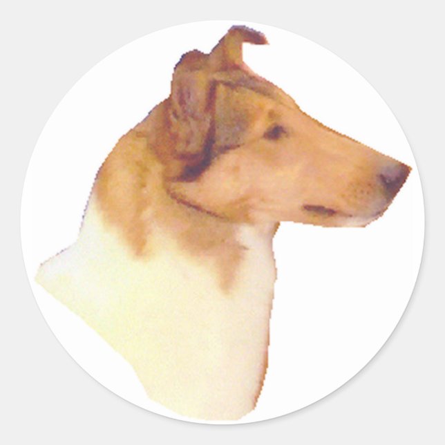Pegatina Redonda Regalos de Smooth Collie (Anverso)