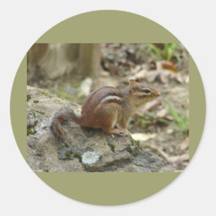 Pegatina Redonda Regalos del Parque Nacional de Aguas Termales Swee