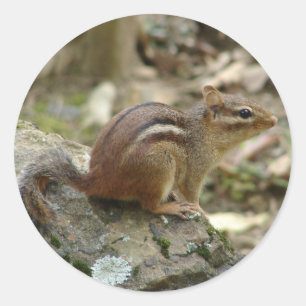 Pegatina Redonda Regalos del Parque Nacional de Aguas Termales Swee