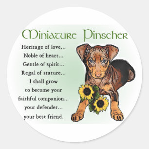 Pegatina Redonda Regalos en miniatura de Pinscher