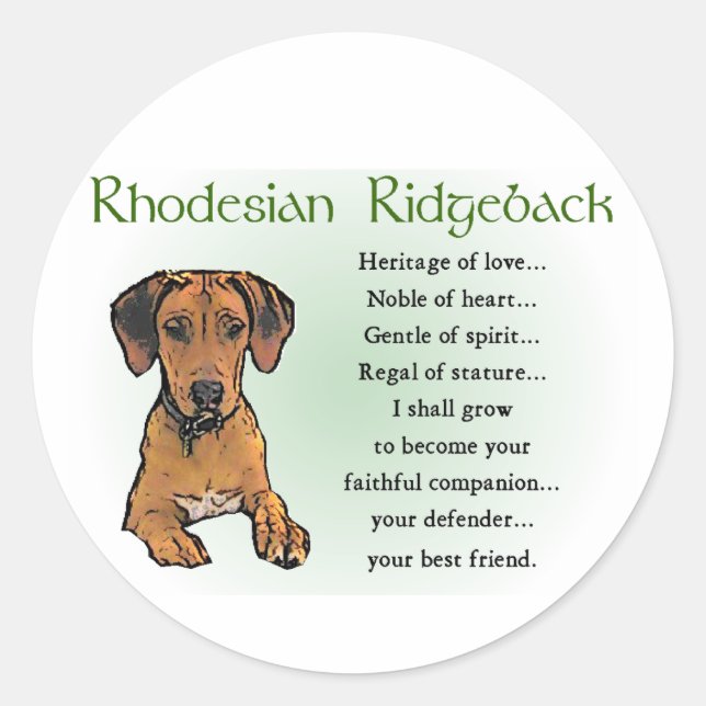 Pegatina Redonda Regalos Ridgeback Rhodsi (Anverso)