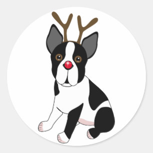 Pegatina Redonda Reno de Boston Terrier