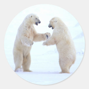 Pegatina Redonda Reproducción de oso polar