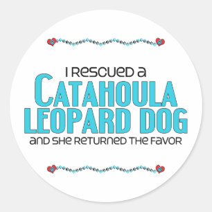Pegatina Redonda Rescaté a un perro leopardo de Catahoula (Perro fe