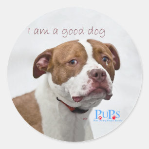 Pegatina Redonda Rescate de Pit Bull Buen Perro