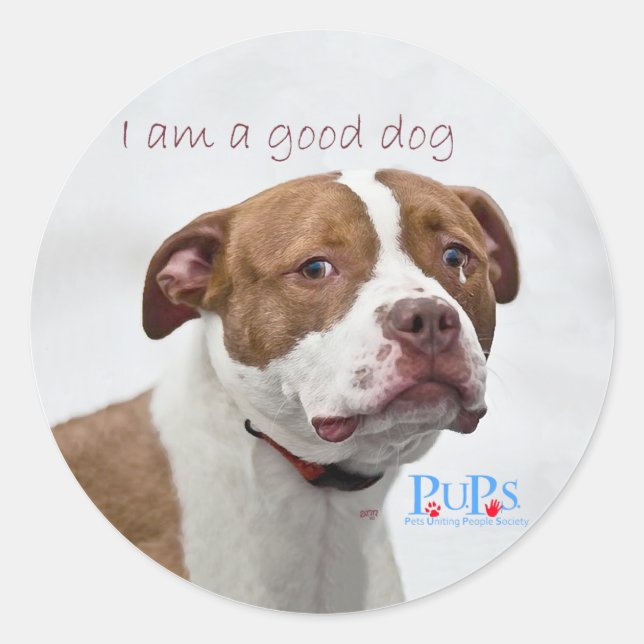 Pegatina Redonda Rescate de Pit Bull Buen Perro (Anverso)