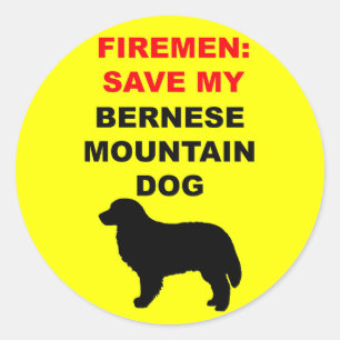 Pegatina Redonda Reserva del bombero mi perro de montaña de Bernes