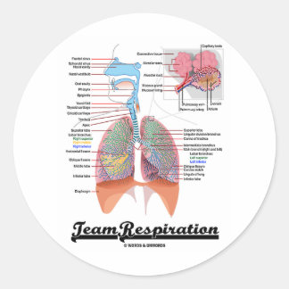 Pegatina Redonda Respiración del equipo (Sistema respiratorio)