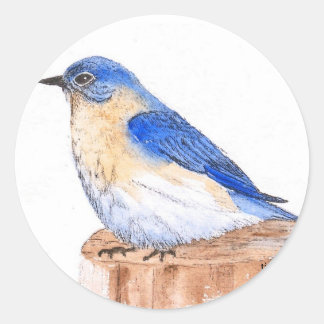 Pegatina Redonda Resting Bluebird