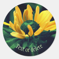 Resumen de Black Eyed Susan Flower Personalizada
