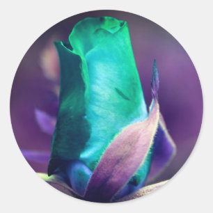 Pegatina Redonda Resumen de la flor de Turquoise Rosebud