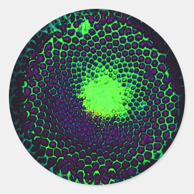 Pegatina Redonda Resumen Diseño de Honeycomb verde y púrpura (Anverso)