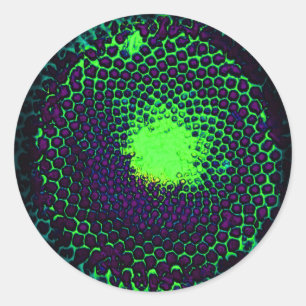 Pegatina Redonda Resumen Diseño de Honeycomb verde y púrpura