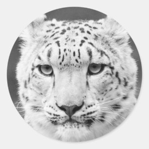 Pegatina Redonda Retrato blanco y negro de la onza hermosa