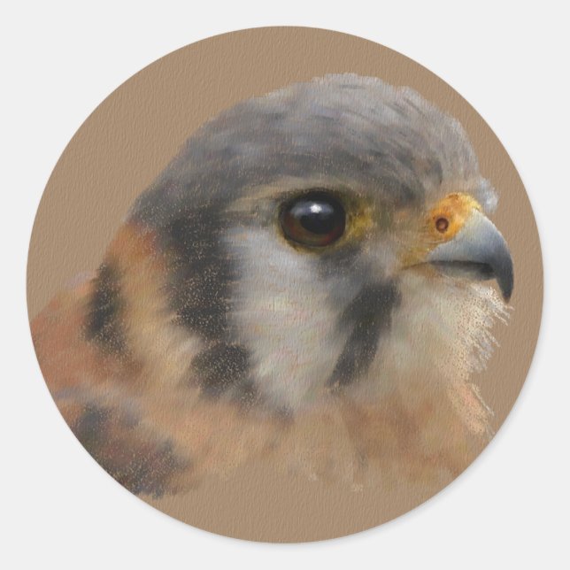 Pegatina Redonda Retrato de Cestrel Americano (Anverso)