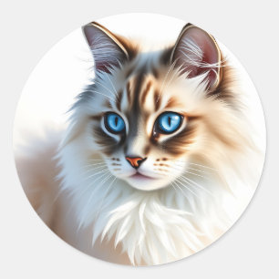 Pegatina Redonda Retrato de gato Fluffy Ragdoll con ojos azules