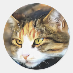 Pegatina Redonda Retrato de Mascota realista de gato de calico amar