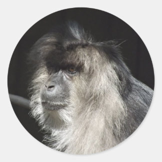 Pegatina Redonda Retrato León-Atado del Macaque