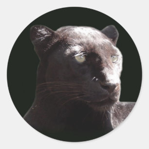 Pegatina Redonda Retrato negro del leopardo