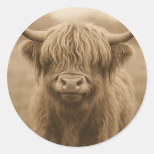 Pegatina Redonda Retrato Sepia de Vaca de las Tierras Altas