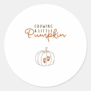 Pegatina Redonda Revelación de embarazo de una pequeña calabaza en