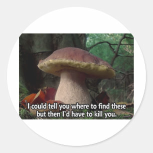 Pegatina Redonda Rey Bolete - tendría que matarle