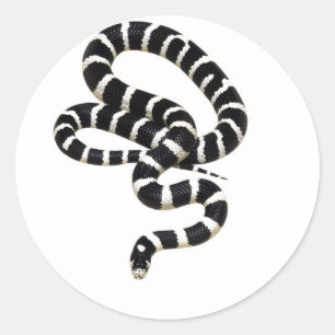 Pegatina Redonda Rey serpiente de Junglewalk.com