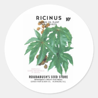 Pegatina Redonda Ricinus, planta Castor OIl, tienda de semillas de 