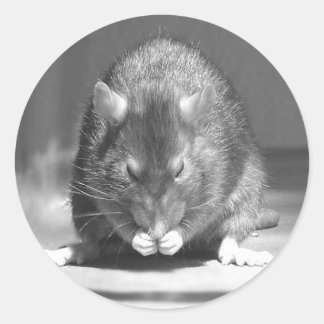 Pegatina Redonda río