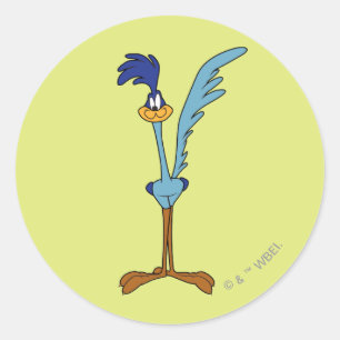 Pegatina Redonda ROAD RUNNER™ en color