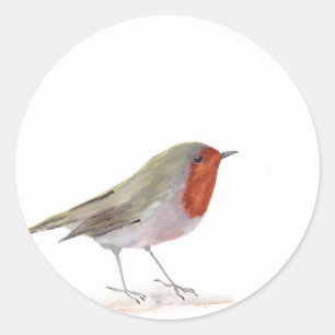 Pegatina Redonda Robin bird acuarela invierno Navidades festivos