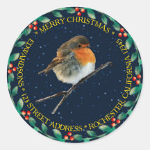 Robin bird nombre Merry Christmas holly