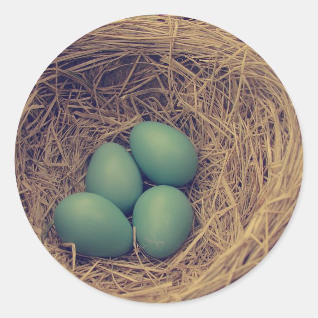 Pegatina Redonda Robin Nest y Eggs (Anverso)