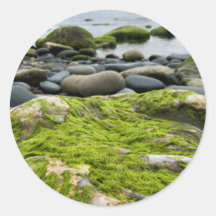 Rocas de los Moss Verdes