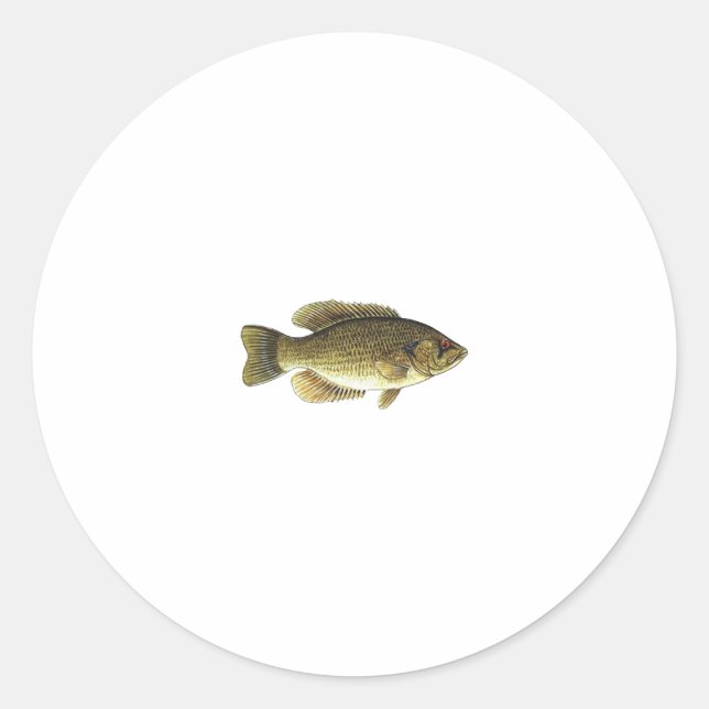 Pegatina Redonda Rock Bass (Anverso)