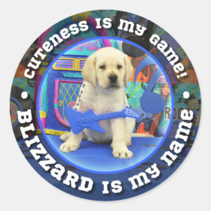 Pegatina Redonda Rock Star Blizzard