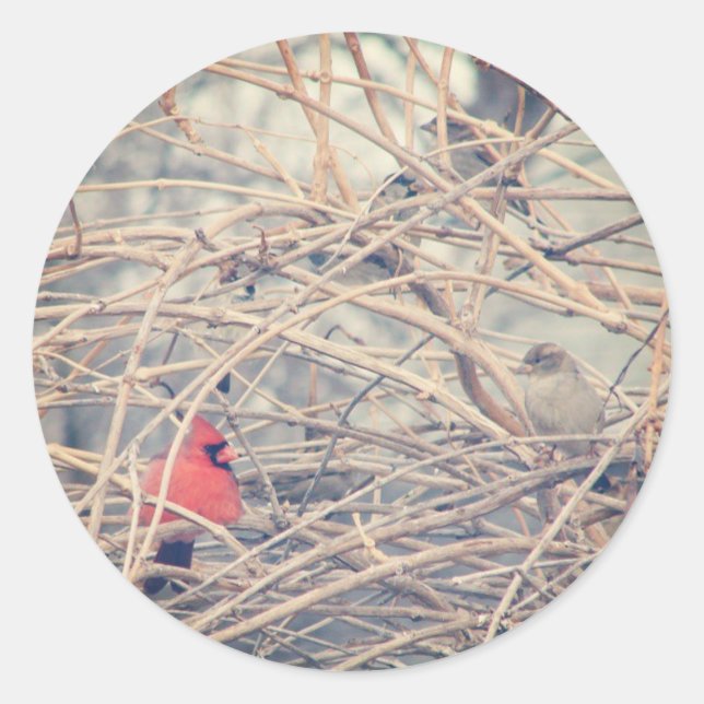 Pegatina Redonda Rojo en un invierno espantoso por angelandspot. (Anverso)