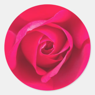 Pegatina Redonda Rojo Romántico Rosa Rosada v2