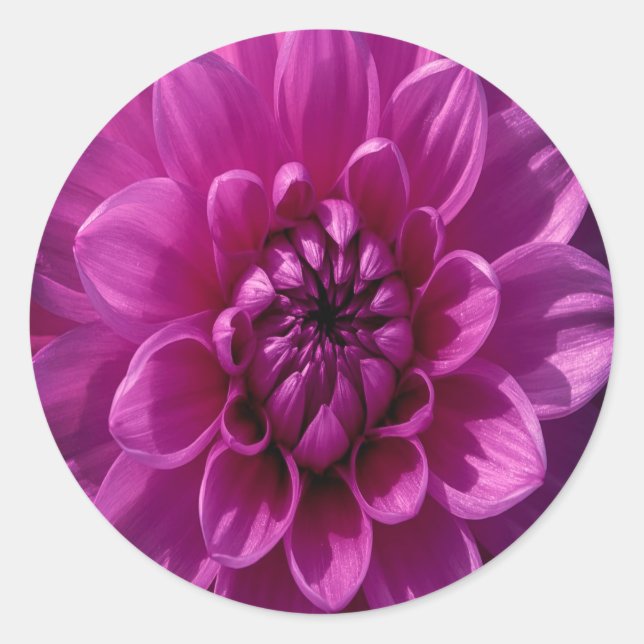 Pegatina Redonda Romántico Floral Rosado (Anverso)