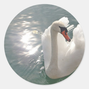 Pegatina Redonda Romantischer weisser Schwan