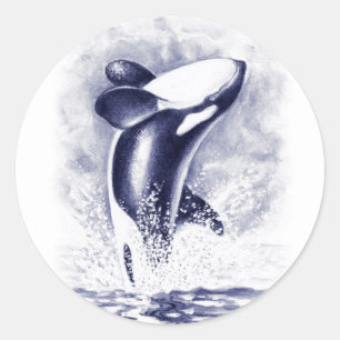 Pegatina Redonda Rompía Orca