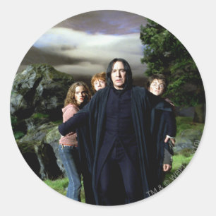 Pegatina Redonda Ron Harry